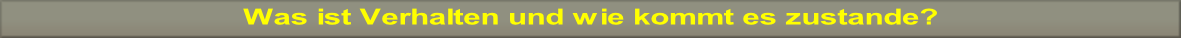 wp0ff9341e.png