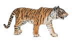 wp43620131.png