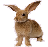 wp9053f49d.png