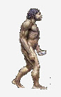 wp98d22d31_0f.jpg