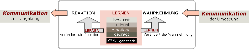 wp9a4f1d7e.png