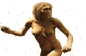 wpa18bd7ae.png