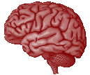 wpa4b57b56.png